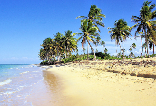 Bavaro Beach, Dominican Republic