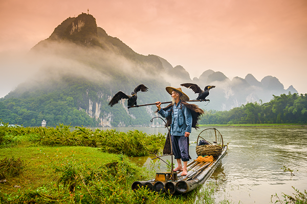 Cormorant Fisherman on the Li River Yangshuo - China