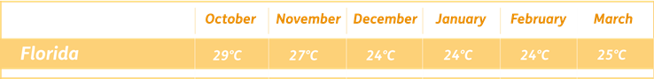 Florida Winter Temperature Guide