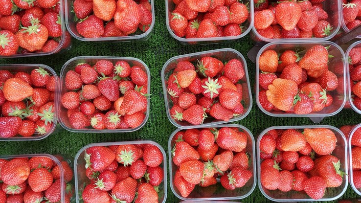 British Strawberries