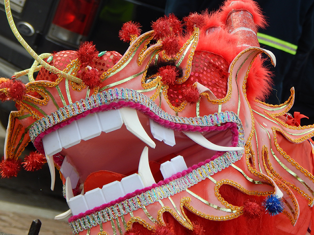 Chinese New Year Lion And Dragon Dance
